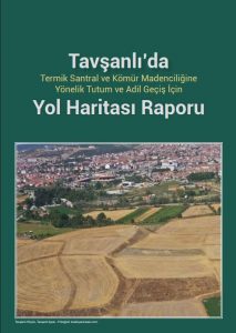 Tavşanlı Raporu
